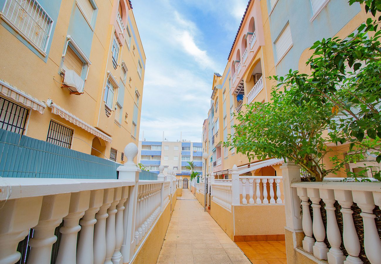 Apartment in La Mata - 028 Nice Quiet Relax - Alicante Holiday