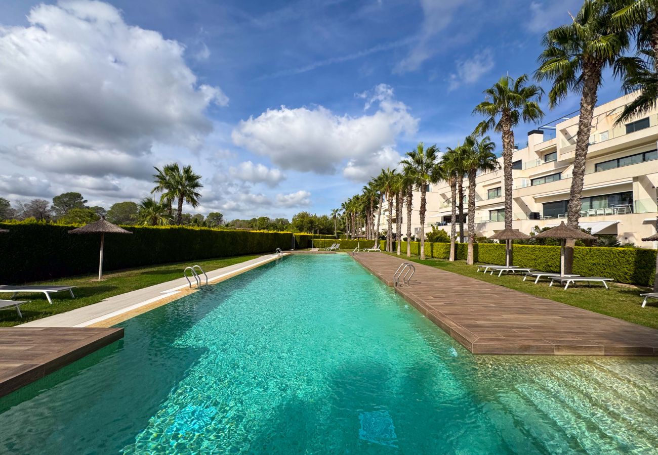 Apartment in Orihuela - 211 Luxury Golf Apartment Alicante-Holiday