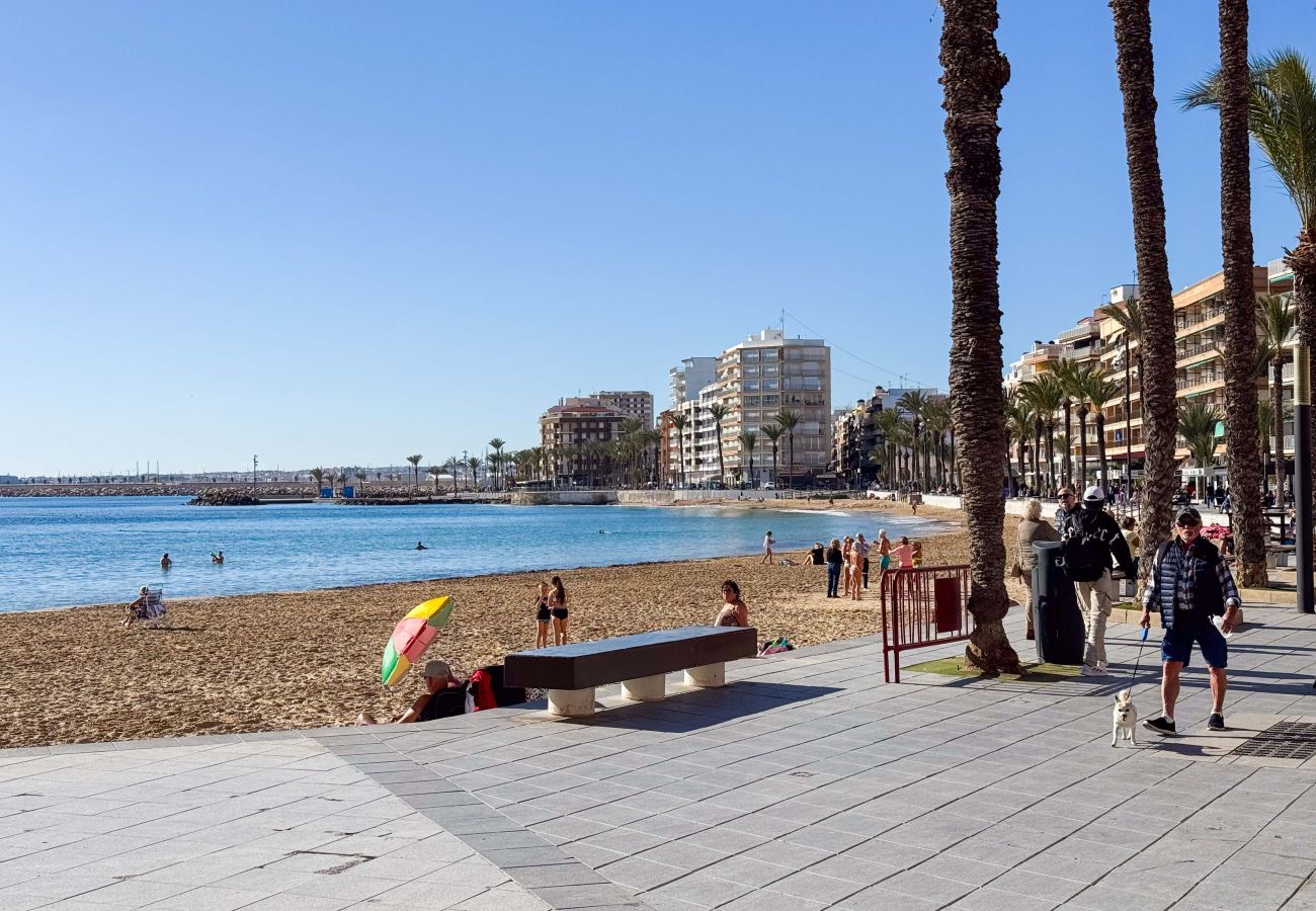 Apartment in Torrevieja - 151 Amazing Apartment Alicante-Holiday
