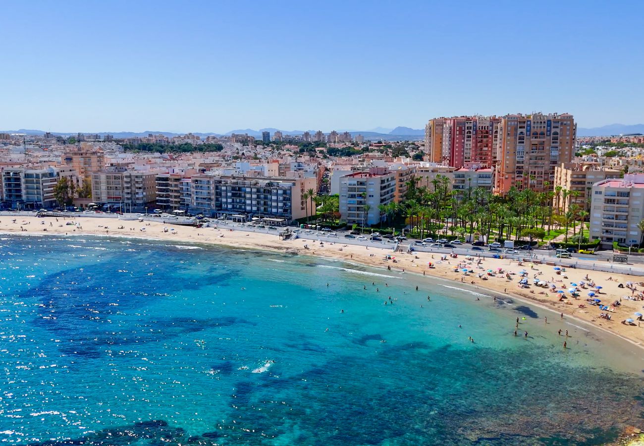 Apartment in Torrevieja - 037 Modern Sweet Apartment - Alicante Holiday