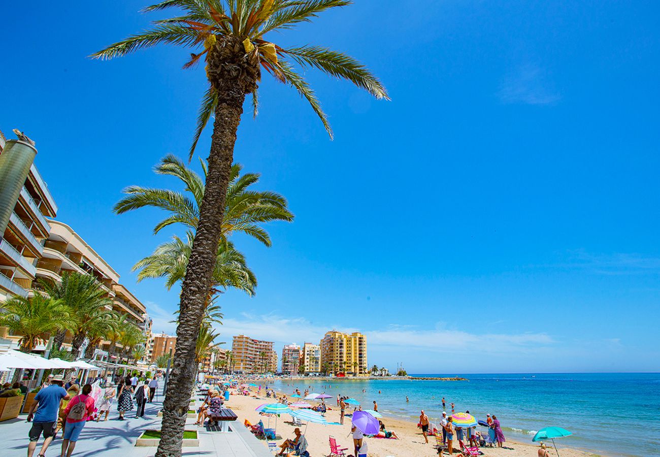 Apartment in Torrevieja - 037 Modern Sweet Apartment - Alicante Holiday