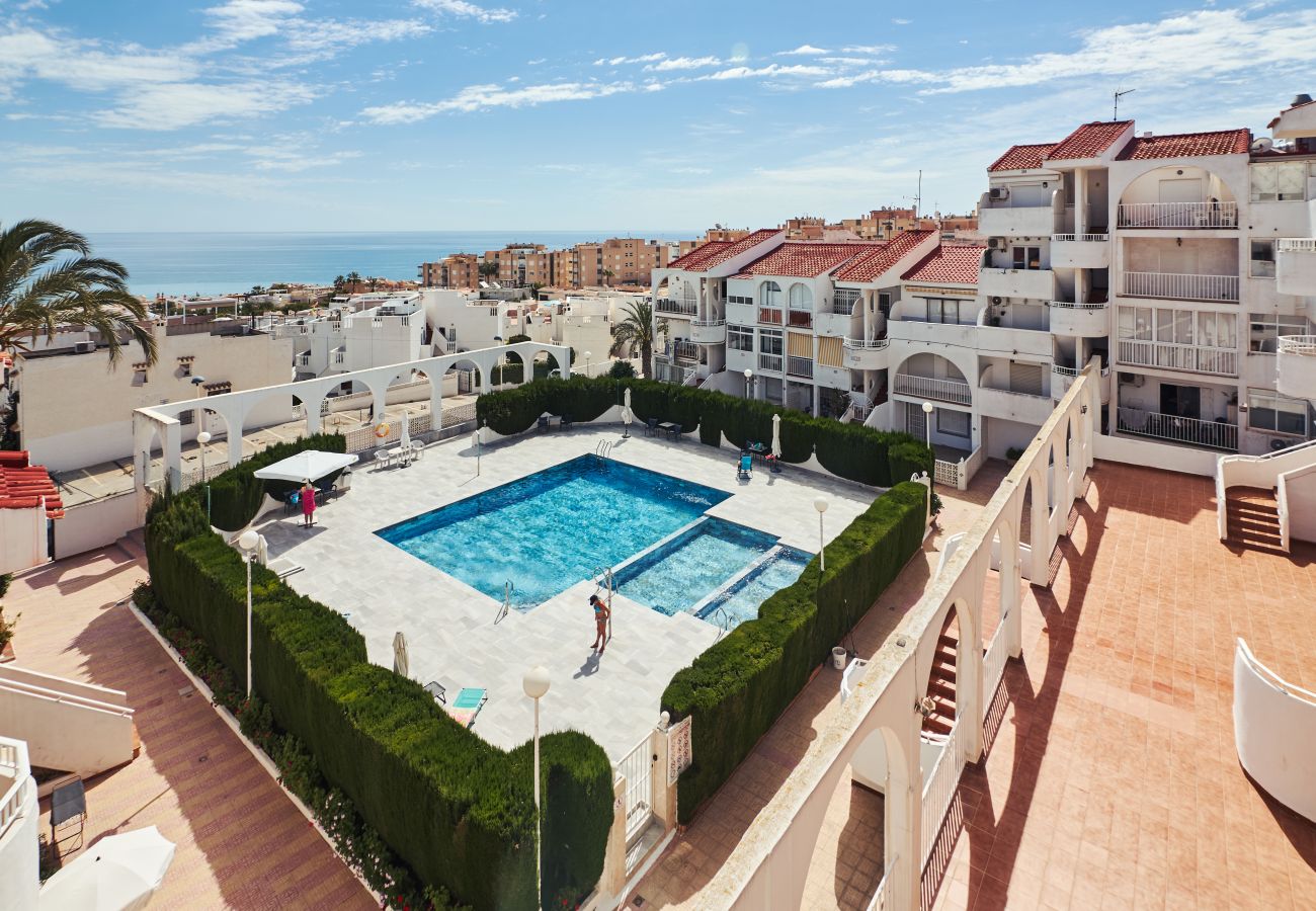 Apartment in Torrevieja - 041 Sweet Torrejon Studio-Alicante Holiday