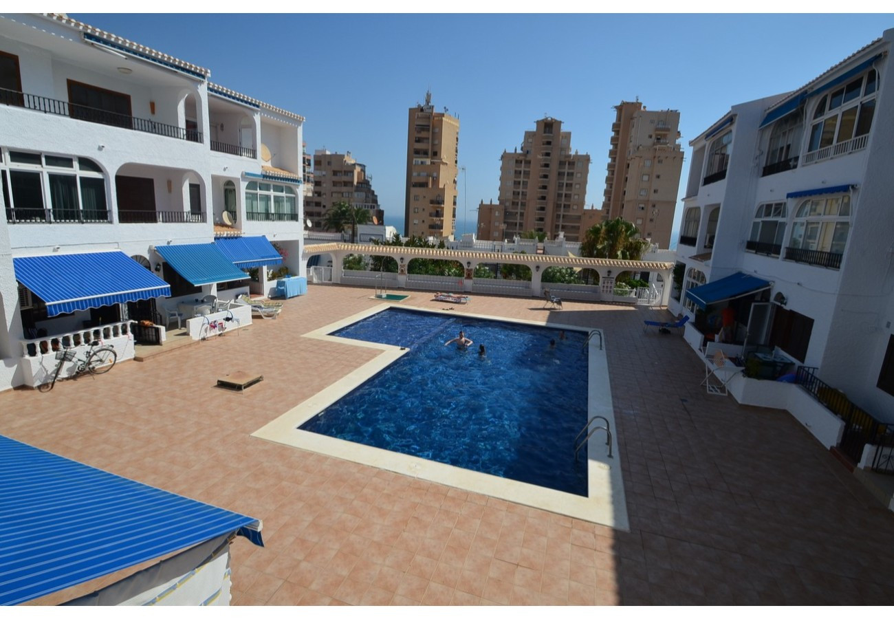 019 Pool Relax - Alicante Real Estate