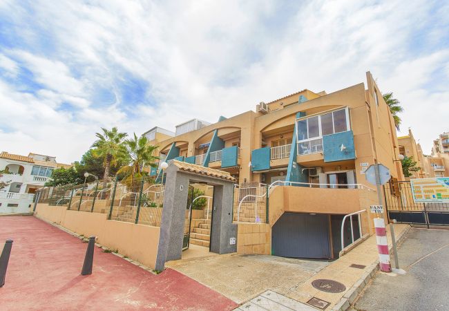 Апартаменты на Торревьеха / Torrevieja - 040 Kate el Coral - Alicante Real Estate