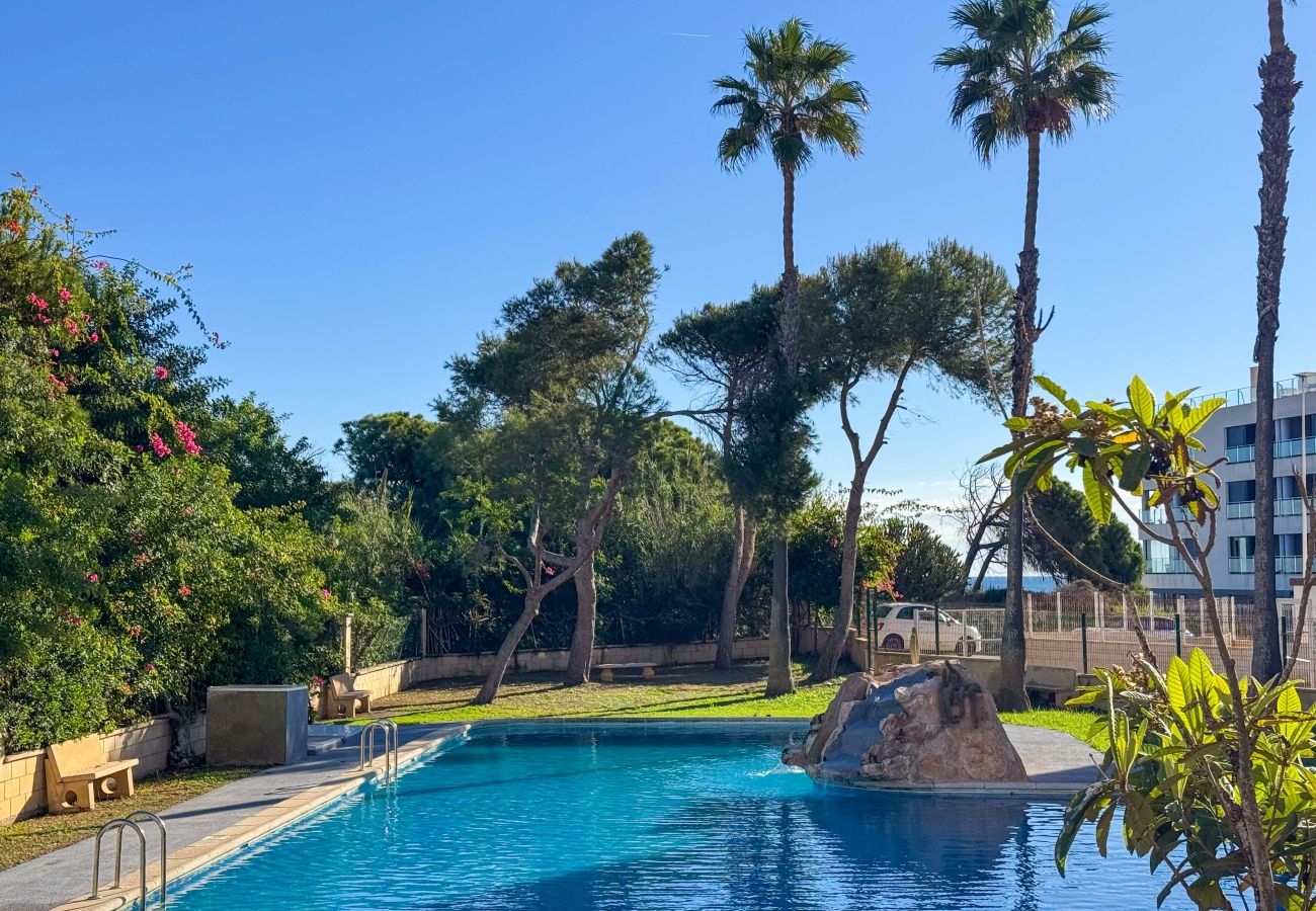 Апартаменты на La Mata - 055 Paradise Vacation - AC/WIFI