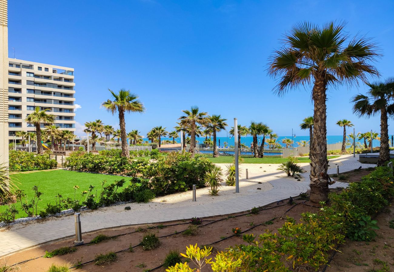 Апартаменты на Торревьеха / Torrevieja - 213 Luxury Panorama - Alicante Holiday