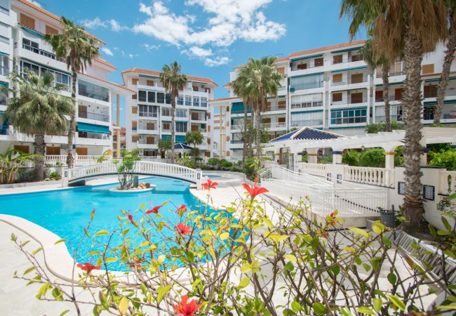 Апартаменты на La Mata - 102 Sol La Mata - Alicante Holiday