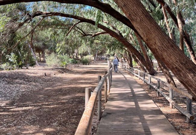 Апартаменты на La Mata - 107 Sea Side - Alicante Holiday Апартаменты на La Mata - 107 Sea Side - Alicante Holiday