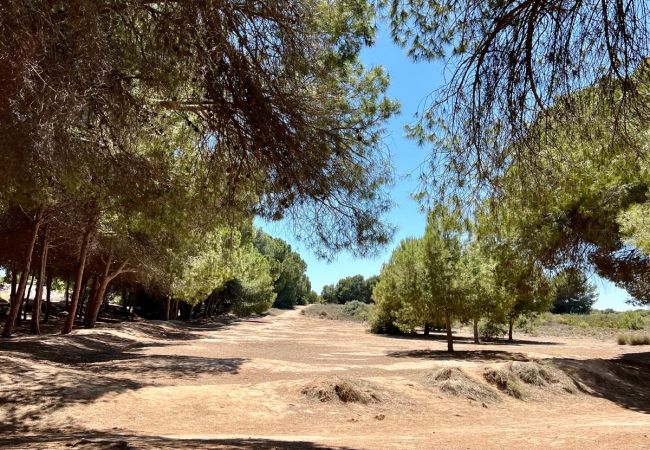 Апартаменты на La Mata - 107 Sea Side - Alicante Holiday Апартаменты на La Mata - 107 Sea Side - Alicante Holiday