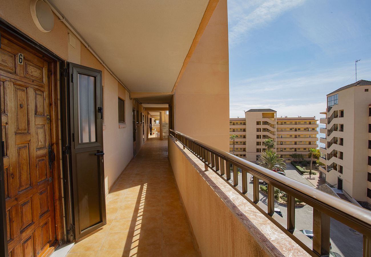 Апартаменты на Торревьеха / Torrevieja - 106 Economy Sea View - Alicante Holiday