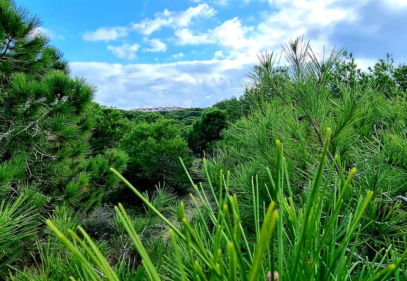 Апартаменты на La Mata - 116 COSTA BLANCA HOLIDAYS - Alicante Holiday
