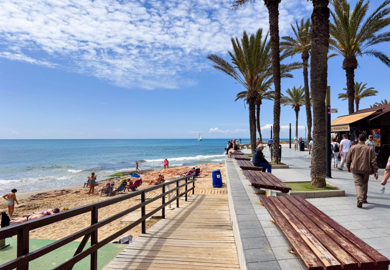 Апартаменты на Торревьеха / Torrevieja - 118 Casa Alicia - Alicante Holiday