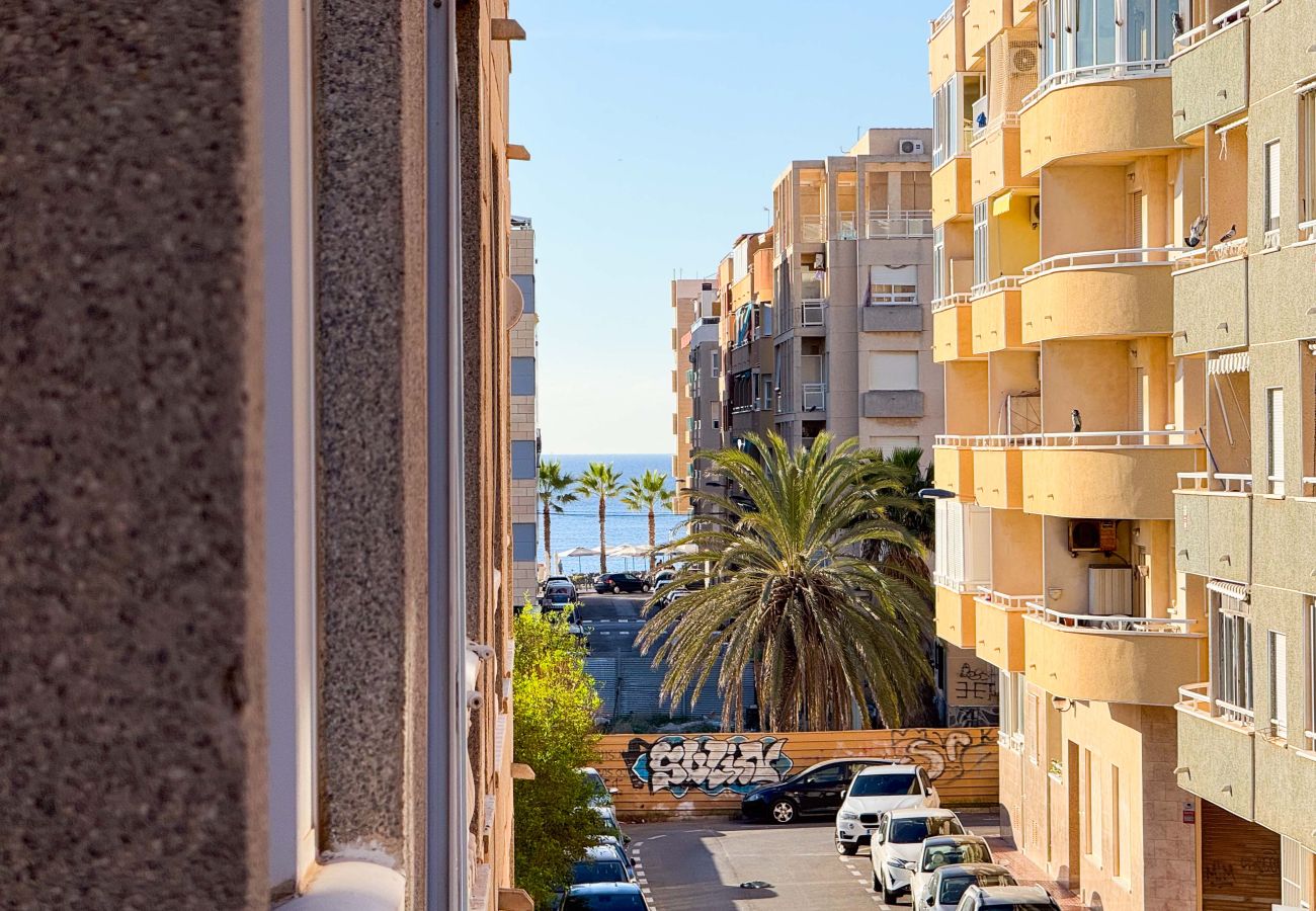 Апартаменты на Торревьеха / Torrevieja - 118 Casa Alicia - Alicante Holiday