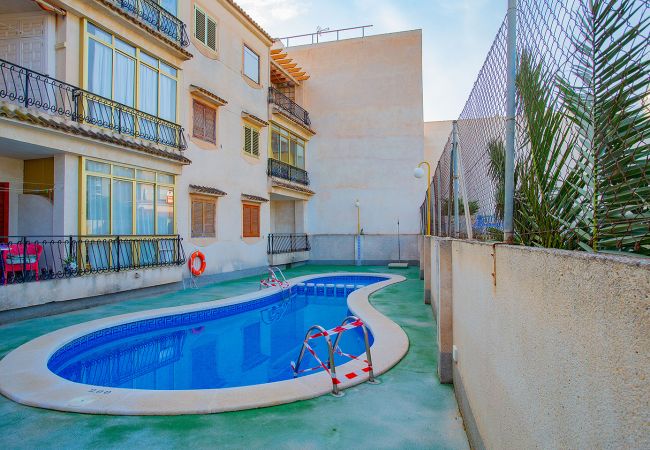 Апартаменты на Торревьеха / Torrevieja - 124 Studio Relax - Alicante Holiday
