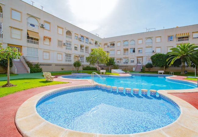 Апартаменты на Торревьеха / Torrevieja - 134 Urbano Chill - Alicante Holiday