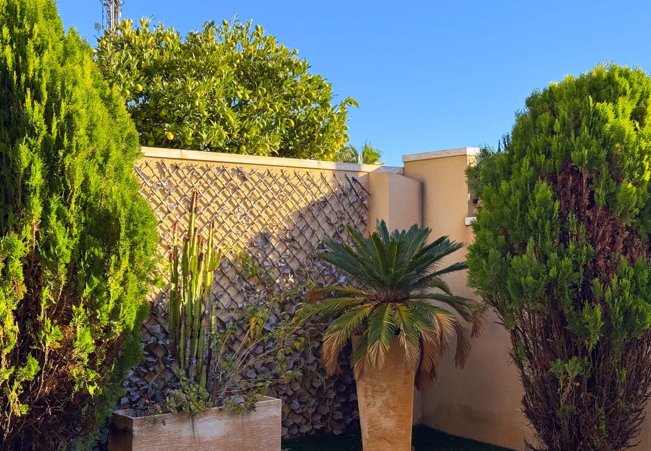 Таунхаус на Торревьеха / Torrevieja - 075 Altos Magic House - Alicante Holiday