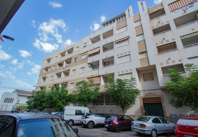 Апартаменты на Торревьеха / Torrevieja - 096  Pleasant Place Luis - Alicante Holiday