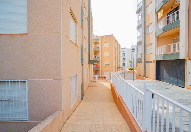 Апартаменты на La Mata - 097 Leandros Playa - Alicante Holiday