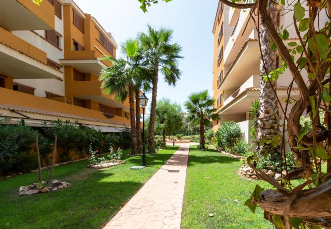 Апартаменты на Торревьеха / Torrevieja - 222 Lovely 3  Pools Home - Alicante Holiday