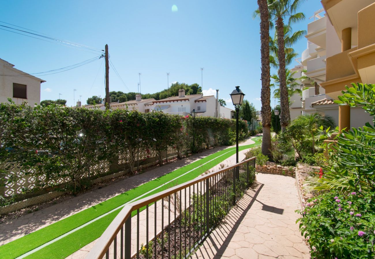 Апартаменты на Торревьеха / Torrevieja - 222 Lovely 3  Pools Home - Alicante Holiday