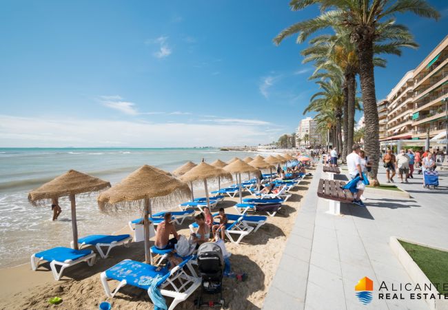 Torrevieja - Апартаменты