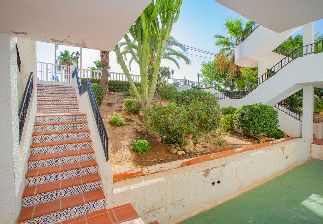 Апартаменты на Торревьеха / Torrevieja - 109 Relax Lomas Pool - Alicante Holiday