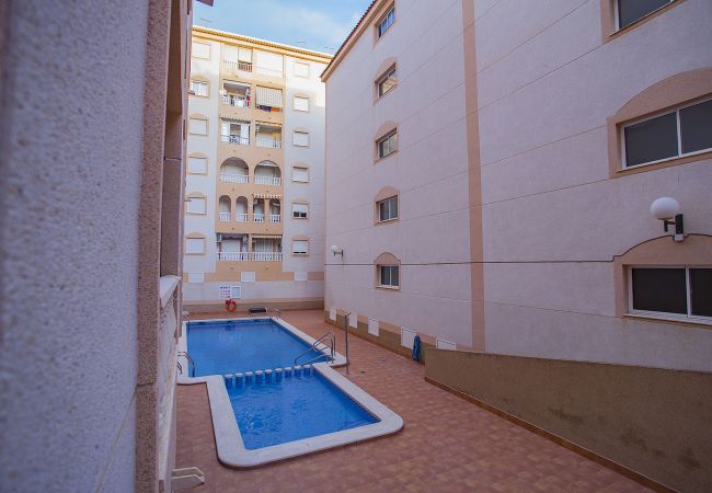 Апартаменты на Торревьеха / Torrevieja - 001 City style - Alicante Holiday