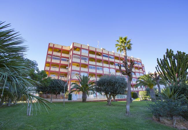 Апартаменты на Торревьеха / Torrevieja - 015 Torremar Nice Holiday - Alicante Holiday