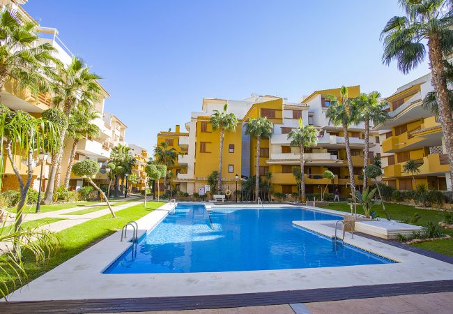 Апартаменты на Торревьеха / Torrevieja - 231  Recoleta Style Relax - Alicante Holiday