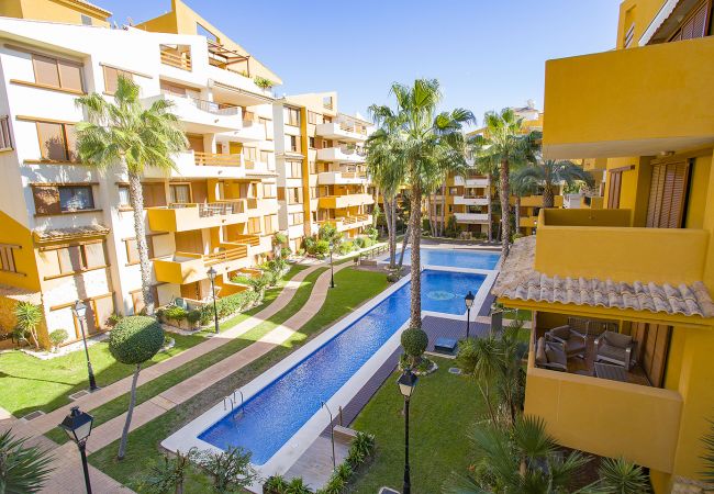 Апартаменты на Торревьеха / Torrevieja - 231  Recoleta Style Relax - Alicante Holiday
