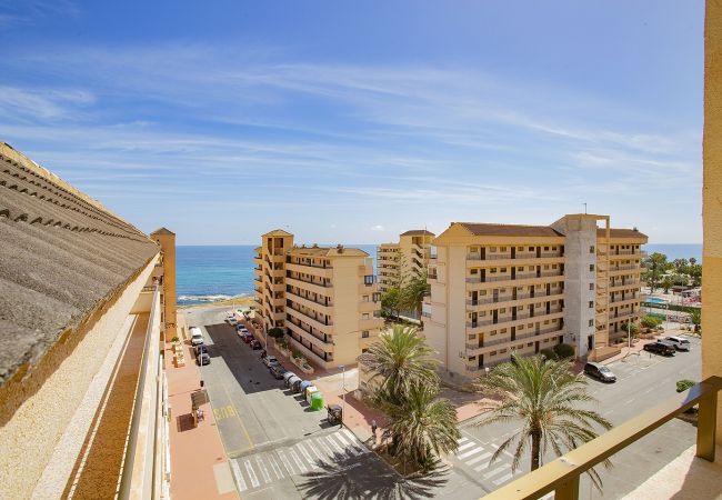 Апартаменты на Торревьеха / Torrevieja - 037 Blue Laguna - Alicante Holiday