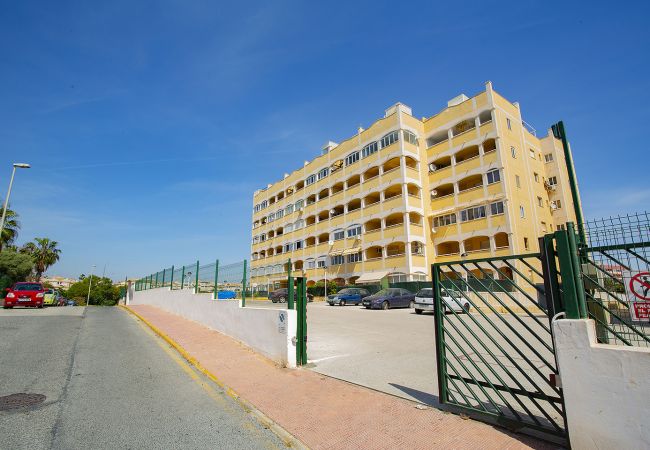 Апартаменты на Торревьеха / Torrevieja - 025 Helena Nice Terrace - Alicante Holiday