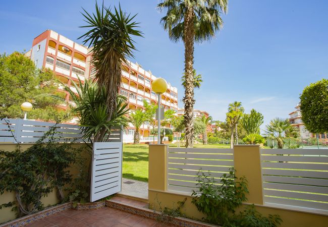 Апартаменты на Торревьеха / Torrevieja - 025 Helena Nice Terrace - Alicante Holiday