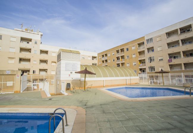 Апартаменты на Торревьеха / Torrevieja - 141 Rambla Nice Place - Alicante Holiday