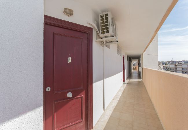 Апартаменты на Торревьеха / Torrevieja - 056 Great Sea View - Alicante Holiday