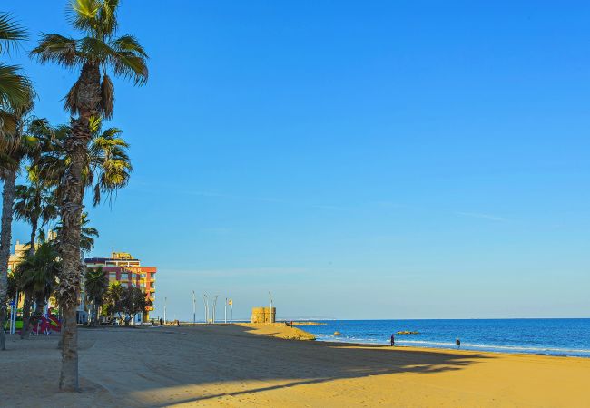 Апартаменты на La Mata - 030 Melissa Beach Apartment - Alicante Holiday Апартаменты на La Mata - 030 Melissa Beach Apartment - Alicante Holiday