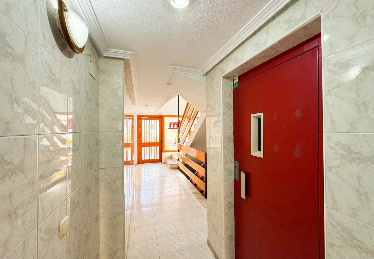 Апартаменты на La Mata - 013 Sunny Beach Spain Apartment - Alicante Holiday