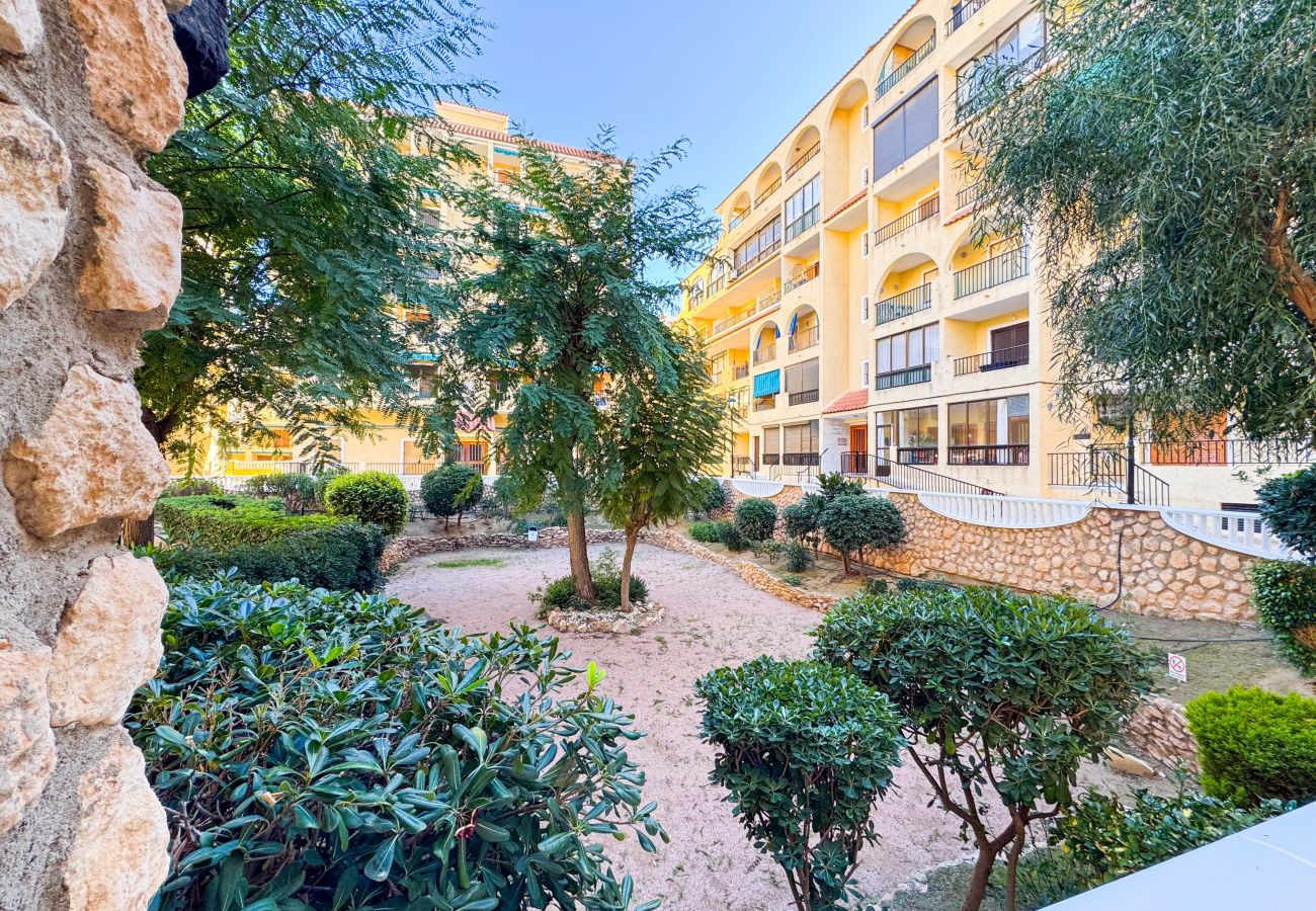 Апартаменты на La Mata - 013 Sunny Beach Spain Apartment - Alicante Holiday