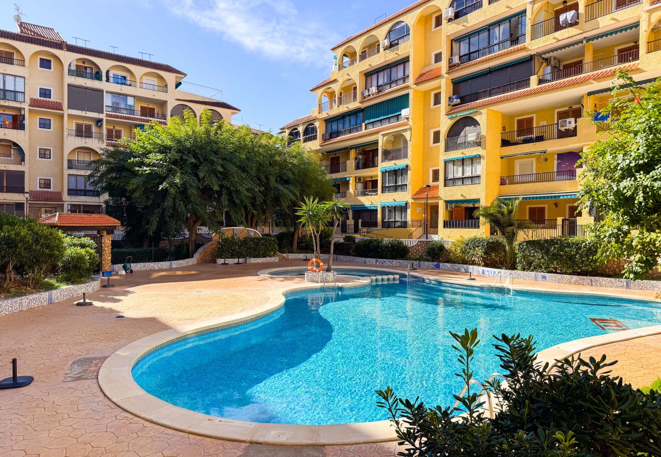 Апартаменты на La Mata - 013 Sunny Beach Spain Apartment - Alicante Holiday