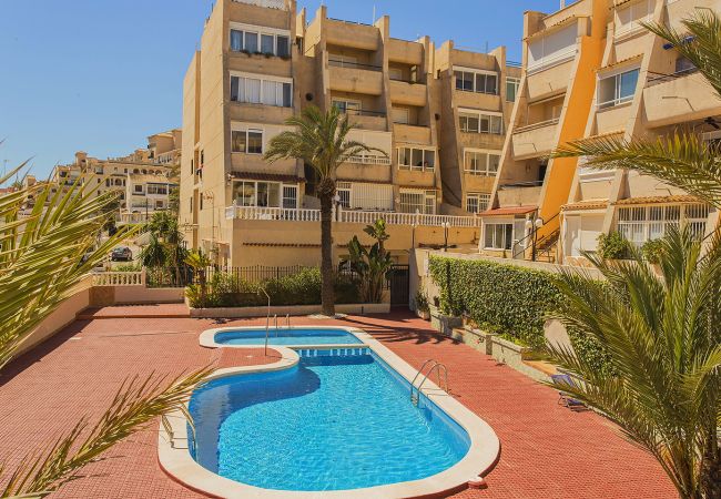 Апартаменты на Торревьеха / Torrevieja - 019 Lomas Penthouse - Alicante Holiday
