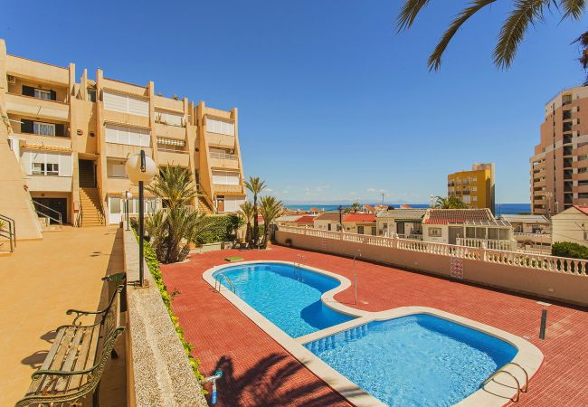 Апартаменты на Торревьеха / Torrevieja - 019 Lomas Penthouse - Alicante Holiday