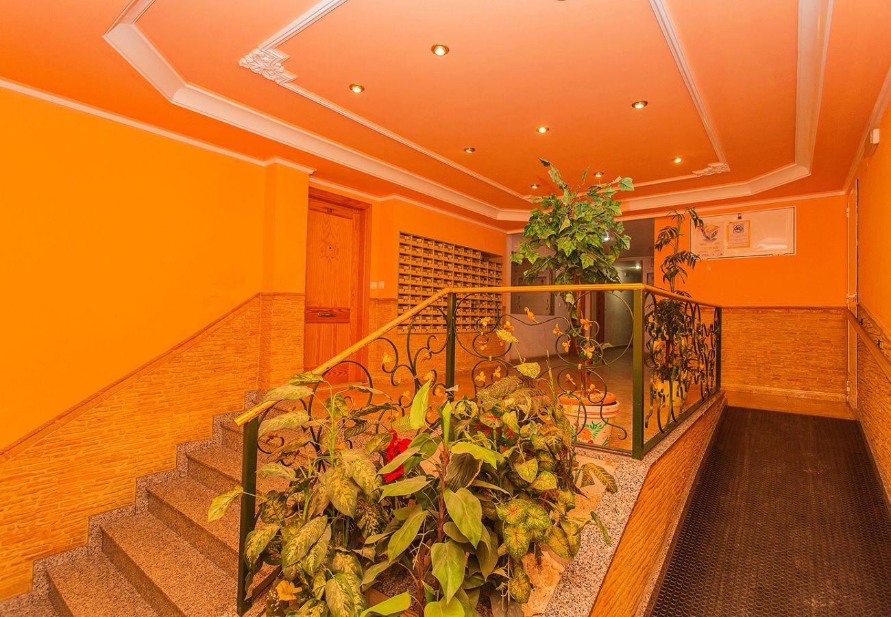 Апартаменты на Торревьеха / Torrevieja - 152 Cozy Apartment Alicante-Holiday