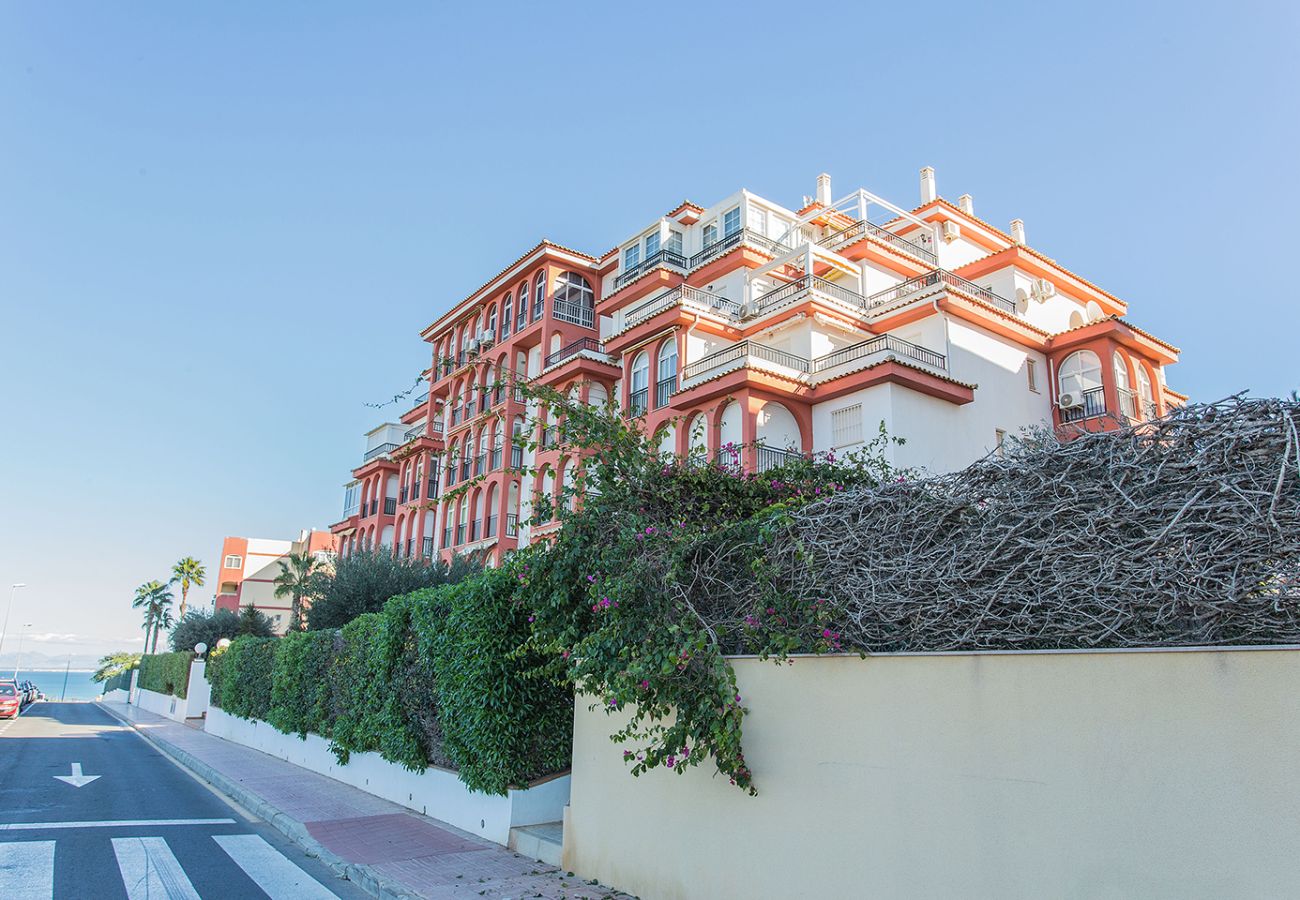 Апартаменты на Torrelamata - 011 TorreLaMata apartment- Alicante Holiday