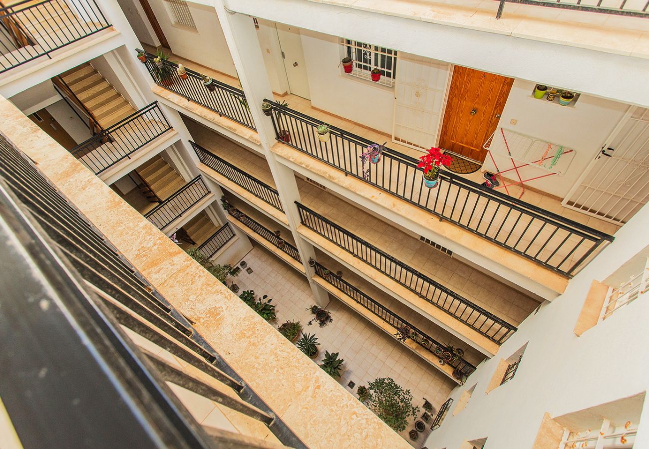Апартаменты на Torrelamata - 011 TorreLaMata apartment- Alicante Holiday