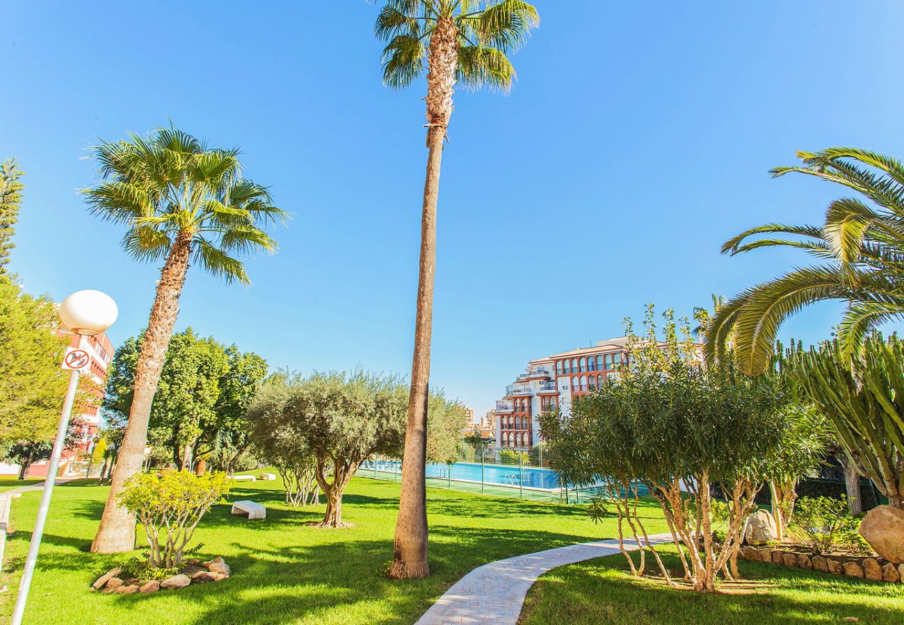 Апартаменты на Torrelamata - 011 TorreLaMata apartment- Alicante Holiday