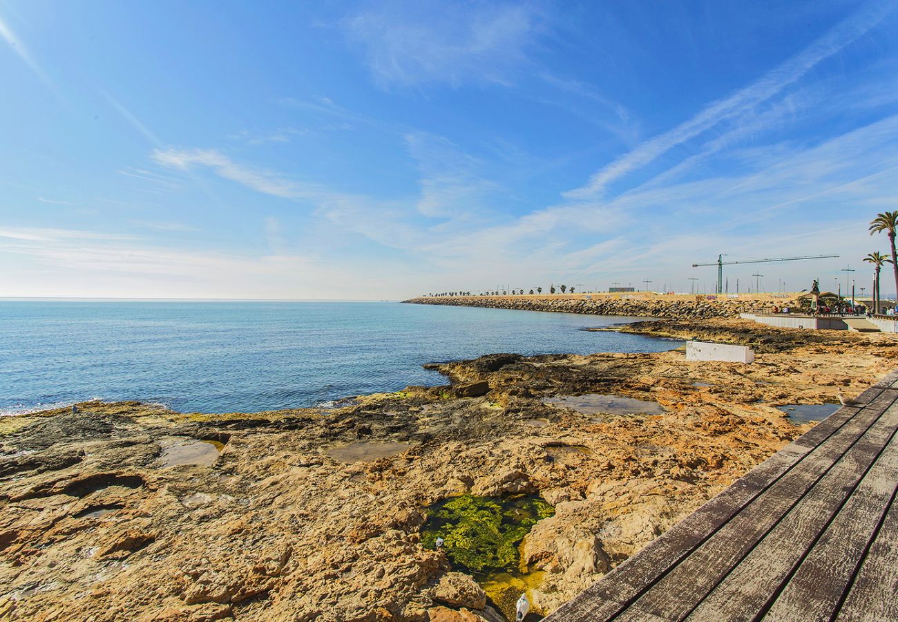 Апартаменты на Торревьеха / Torrevieja - 001 Lirio Apartment - Alicante Holiday