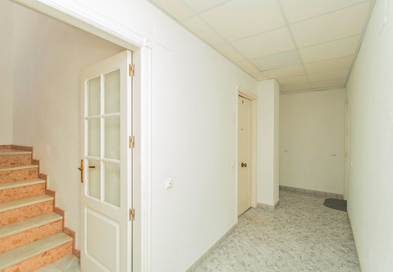 Апартаменты на Торревьеха / Torrevieja - 001 Lirio Apartment - Alicante Holiday