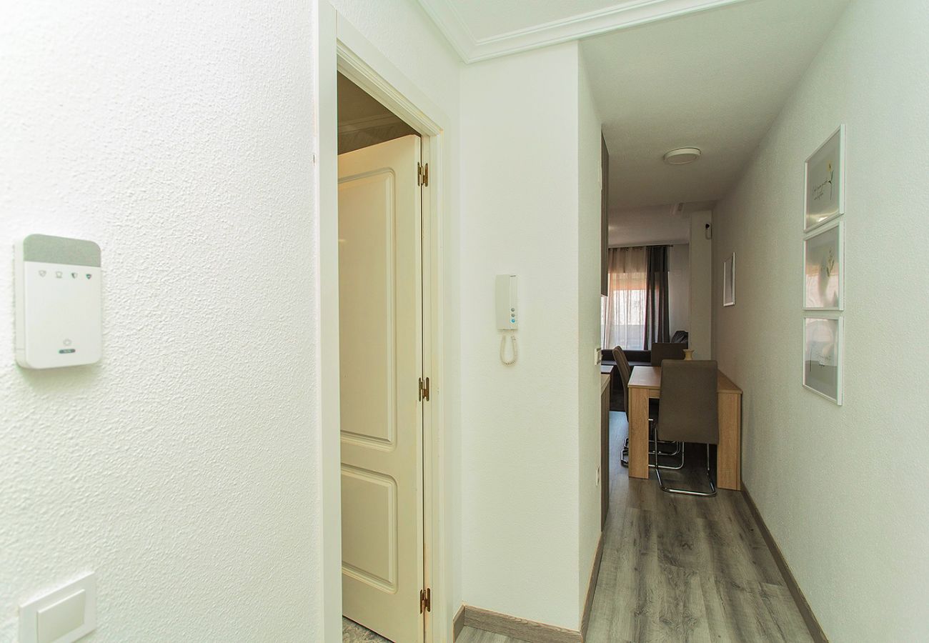 Апартаменты на Торревьеха / Torrevieja - 001 Lirio Apartment - Alicante Holiday