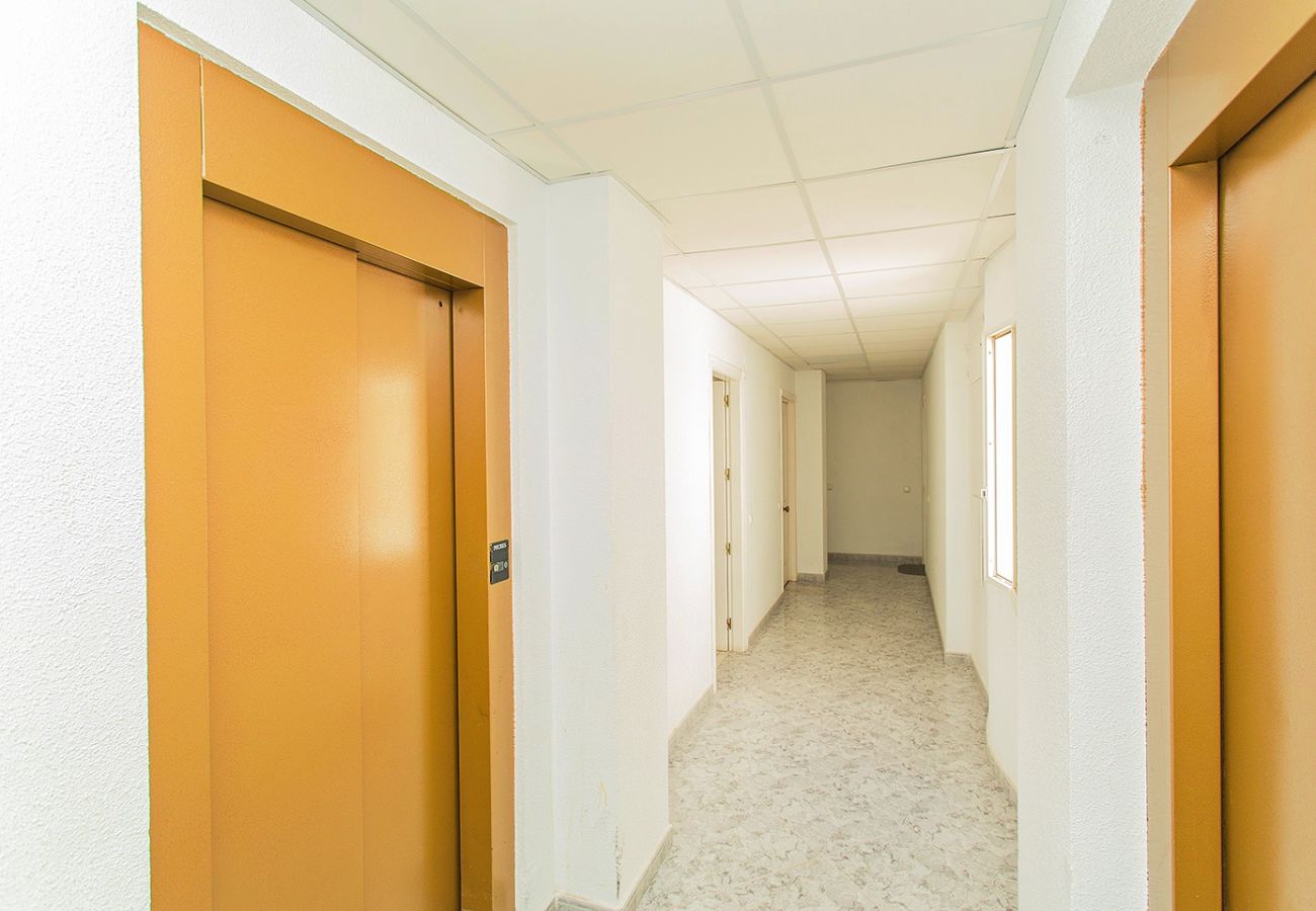 Апартаменты на Торревьеха / Torrevieja - 001 Lirio Apartment - Alicante Holiday