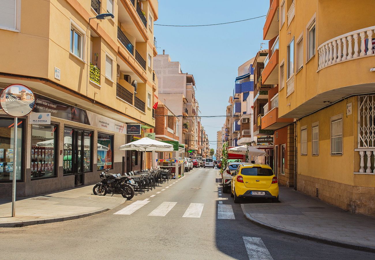 Апартаменты на Торревьеха / Torrevieja - 001 Lirio Apartment - Alicante Holiday